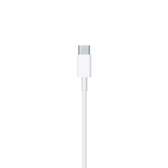USB to Lightning Cable (1 m)